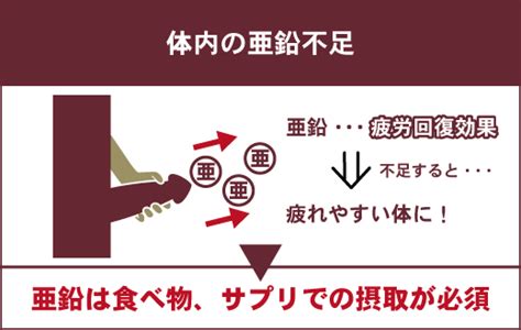 亜鉛 オナニー|亜鉛をとると勃起に効果あり？不足するリスクや亜鉛が多い食材。